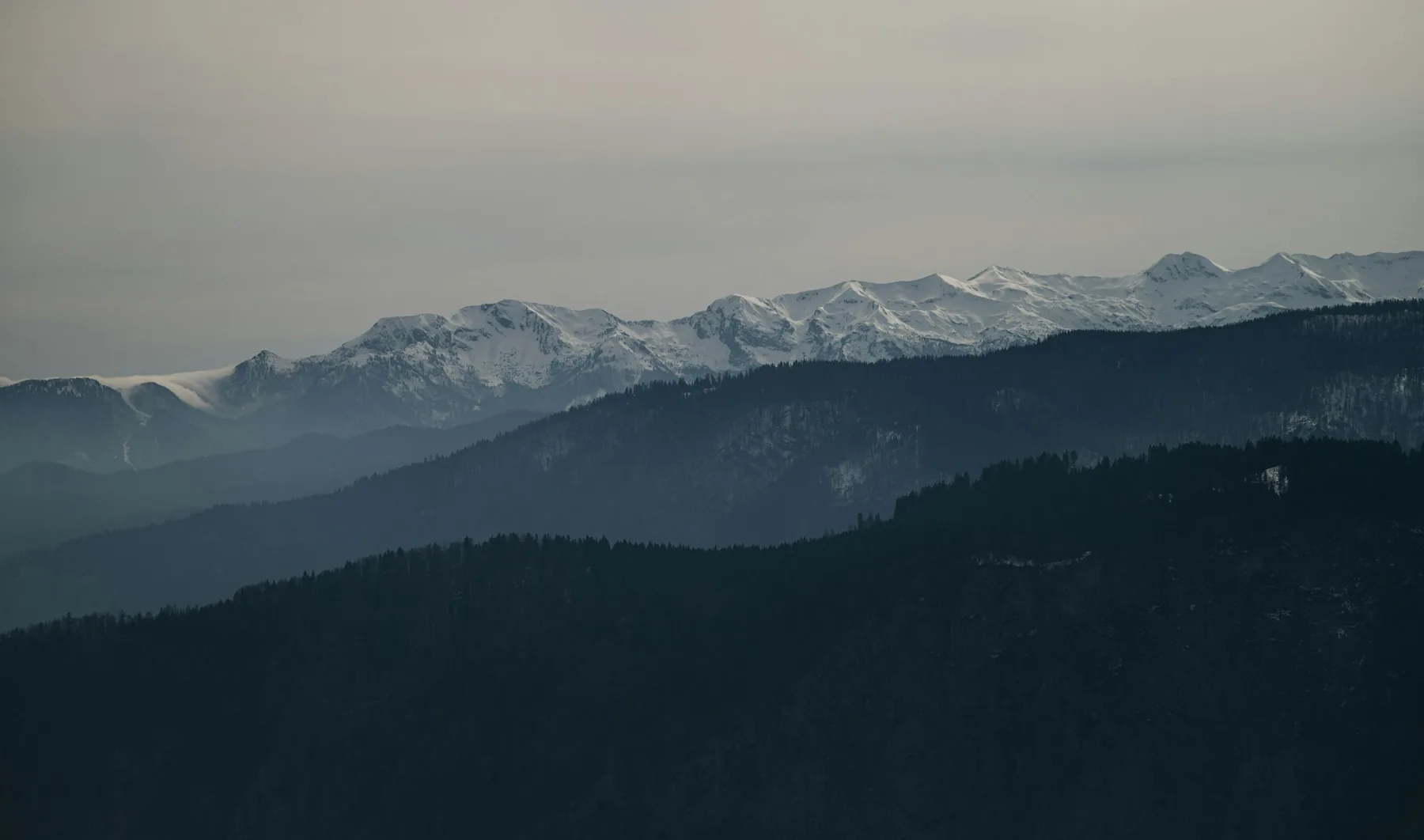 Snow-dusted peaks above dark forested ridges in grey morning light